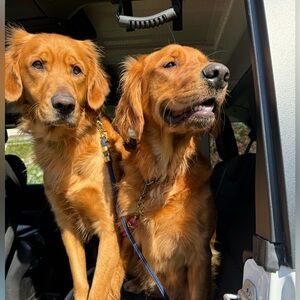 Meet your Posher, Taylor e